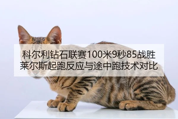 ke-er-li-zuan-shi-lian-sai-mi-miao-zhan-sheng-lai-er-si-qi-pao-fan-ying-yu-tu-zhong-pao-ji-shu-dui-bi-2-945.jpg