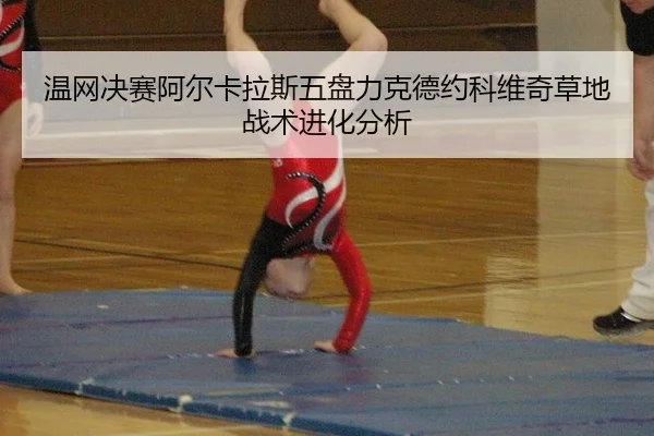 wen-wang-jue-sai-a-er-ka-la-si-wu-pan-li-ke-de-yue-ke-wei-qi-cao-di-zhan-shu-jin-hua-fen-xi-2-370.jpg